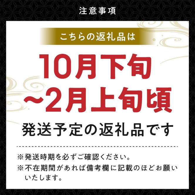 鱧すり身 200g × 2個 高級魚 鱧 漁港直送 その日に加工 真空冷凍 鮮度 キープ すり身 鍋 ハンバーグ つみれ汁 高級料亭 気分 味わえる 自宅 簡単 出来立て さつま揚げ 冷凍 お取り寄せ 和歌山県 湯浅町 送料無料_SD1001