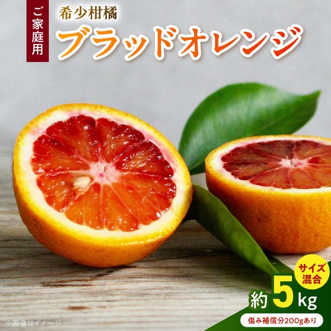 AB7370_Y_【限定】《先行予約・2027年3月発送》希少柑橘 ご家庭用 ブラッドオレンジ　サイズ混合/ご家庭用/5kg(傷み補償200g)