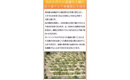 【ご家庭用訳あり】田村みかん　5kg ※2026年11月下旬～2027年1月下旬頃発送(お届け日指定不可)【uot754A】