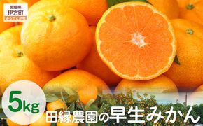 【先行予約】【数量限定】田縁農園の早生みかん（生果）5kg （2026年11月10日より順次発送）IKTA001