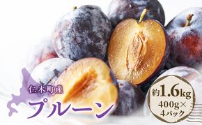 [先行受付] 北海道 仁木町産 季節のプルーン 1.6kg（400g×4パック）プルーン 果物 果物類 くだもの フルーツ [JA新おたる]