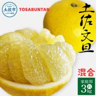 ＜2026年3月より順次発送＞土佐文旦 家庭用 3kg 5～8玉入り L～3Lサイズ混合