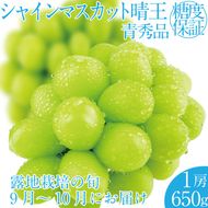 2026年 先行予約受付中 シャインマスカット晴王 1房 約650g 岡山県産 種無し 皮ごと食べる みずみずしい 甘い フレッシュ 瀬戸内 晴れの国 おかやま 果物大国 ハレノフルーツ