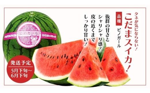 【 野菜ソムリエ 厳選 】 旬 の フルーツ 定期便 ( アールスメロン スタート ) 4回 先行予約 果物 いちご イチゴ 苺 とちおとめ やよいひめ かおり野 すいか 小玉スイカ ピノガール トマト フルーツトマト メロン アールスメロン 新鮮 おすすめ ソムリエ 野菜 [AF097ci]