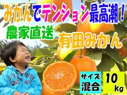 有田みかん10キロ　サイズ混合   	CB015