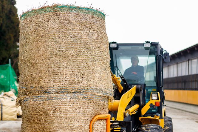 和牛なまはげ モモすきやき 300g 大進農場|23_dsf-040301