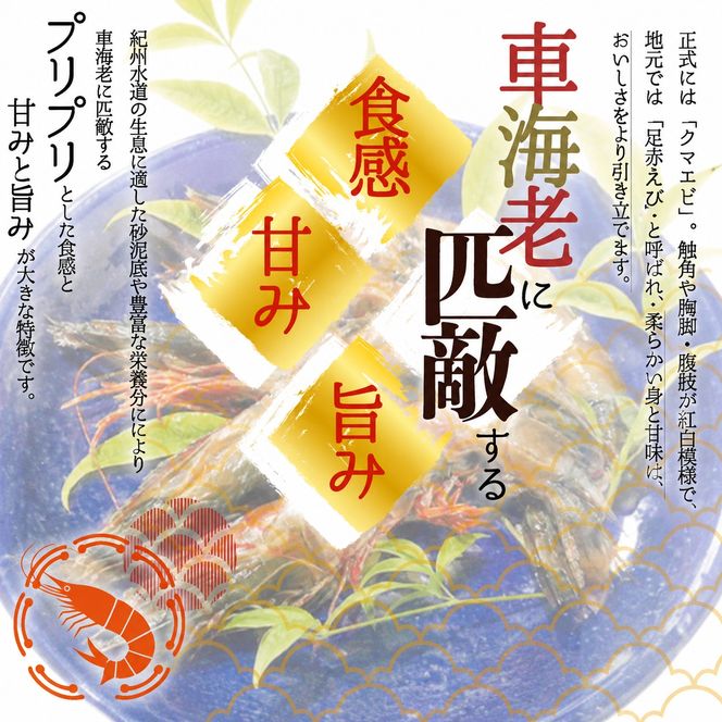 紀州和歌山産天然足赤えび540g（270g×2パック）化粧箱入 ※2026年12月上旬〜2027年2月上旬頃順次発送予定（お届け日指定不可）／海老 エビ えび クマエビ 足赤 天然 おかず【uot772A】
