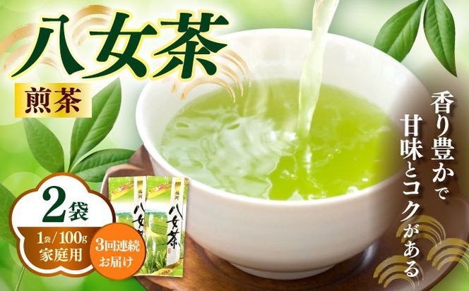 【全3回定期便】八女茶煎茶 100g×2袋《築上町》【株式会社木村食品(千代海苔株式会社)】お茶 茶 緑茶 ギフト[ABEI036]
