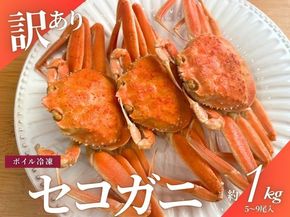 【11月～2月発送】【訳あり】新潟県村上市寝屋漁港産　セコガニ 約1kg（5～9尾入）C4088