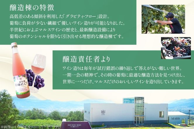 ワイン ロゼ 甘口 一番収穫巨峰にごり 500ml [本坊酒造 マルス穂坂ワイナリー 山梨県 韮崎市 20742240] ロゼワイン