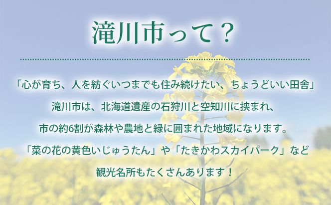 滝川市 ふるさと支援 寄附のみの応援受付 4,000円コース（返礼品なし 寄附のみ 4000円）