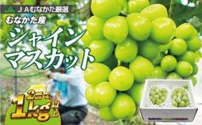 JAむなかた厳選【むなかた産シャインマスカット】2房(1kg以上)【JAほたるの里】_HA0914