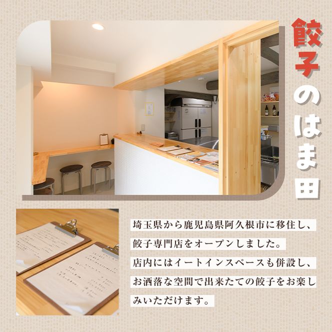手づくり和餃子セット(ニラ餃子12個入×2袋+大葉餃子12個入×2袋・合計48個) 餃子 生餃子 ギョウザ ぎょうざ ギョーザ セット 詰め合わせ おかず お惣菜 冷凍 和風 水餃子 にら ニラ 大葉 手作り 食べ比べ 【餃子のはま田】akn096-03
