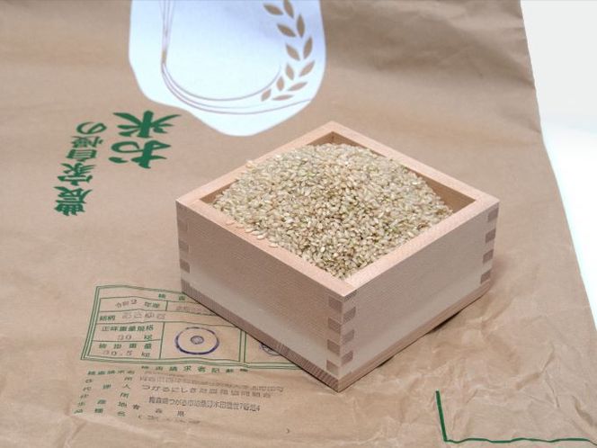 令和7年産 あさゆき 玄米 30kg [H.GREENWORK] 青森県 鯵ヶ沢産 / お米 希少米 もっちり 大容量 備蓄 健康 津軽