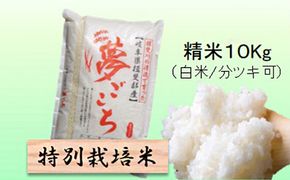 特別栽培米 【 令和8年産 】 精米 10kg（白米/5分/7分ツキ可）【 夢ごこち 】玄米は別に出品