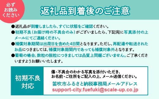 ＜25年発送先行予約＞笛吹市産　藤稔　1.0kg(2～3房) 227-013
