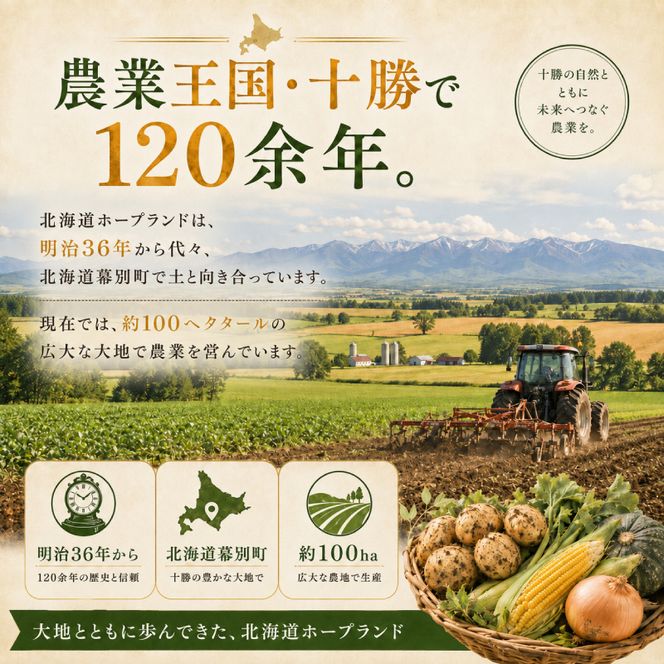 【先行予約】十勝幕別のジャンボ玉ねぎ 10kg （3L）[北海道ホープランド農場] 【 たまねぎ 玉ねぎ 玉葱 野菜 秋野菜 北海道 十勝 幕別 】