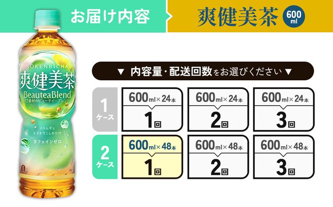 爽健美茶 600ml PET【コカ・コーラ】ペットボトル 2ケース(48本) 定期便 セット お茶 カフェインゼロ ノンカフェイン ハトムギ ブレンド茶 宮崎県 えびの市 送料無料
