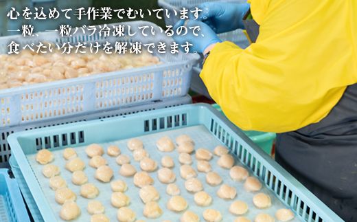 【北海道産】 雪たらこ200g お刺身ほたて300g セット 合成着色料・亜硝酸ナトリウム不使用 北のハイグレード食品受賞