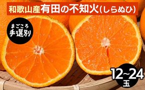 【まごころ手選別】和歌山産　有田の不知火(しらぬひ)12玉～24玉 ※2026年2月上旬～4月下旬頃に順次発送予定