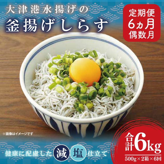 【定期便特別価格】※偶数月※　大津港水揚げの釜揚げしらす＜6ヶ月定期便＞＜2ヶ月に１回偶数月発送＞　1kg×6回【海鮮 魚介類 しらす シラス ご飯のお供 たっぷり お手頃 個包装】(AS214)