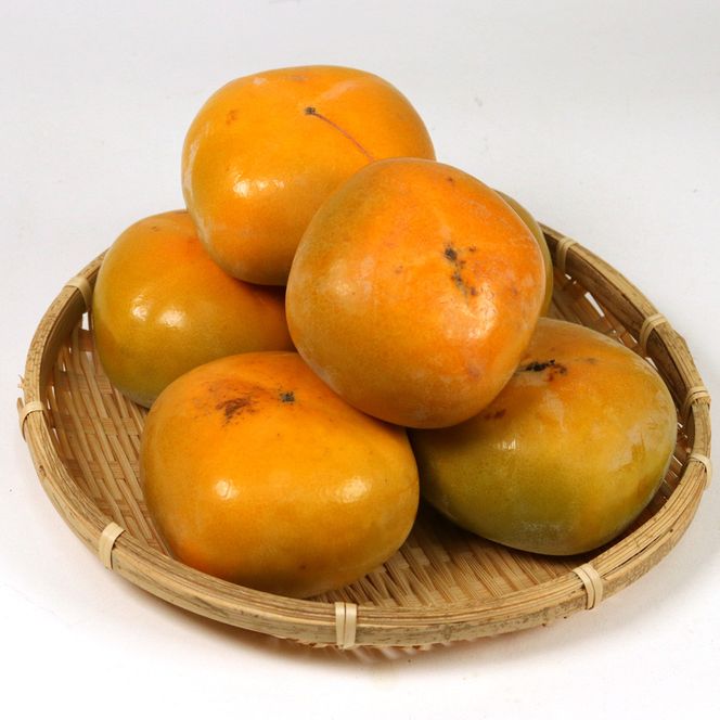 ［先行予約］家庭用 たねなし柿 約1kg［訳あり］［刀根早生・平核無柿（ひらたねなしかき）］［カキ・種無柿・種無し柿・種なし柿・無核柿］［IKE317］ 303446_BB90225