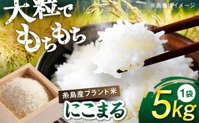 【令和7年産】 にこまる 玄米品質1等米 白米 5kg 糸島市産 糸島市 / 糸島の恵み コメ こめ ご飯[AGR001]