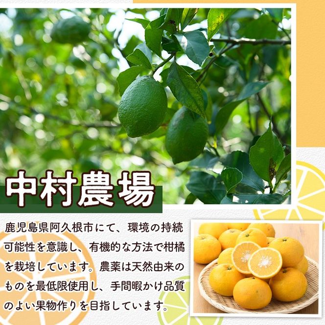 yvszs\tI2026N2{ȍ~\聄ʌIL@JAS É(10kg) Y ʎ ʕ t[c k fU[g Ԍ L@͔|y_zakn084-05