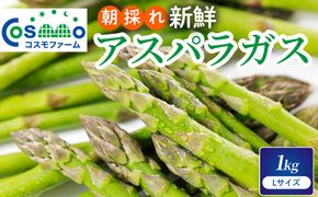 朝採り新鮮アスパラガス 1kg【Lサイズ】 | 野菜 アスパラガス グリーンアスパラ 旬 とれたて 春野菜 春 朝採り 朝採れ とれたて 新鮮 みずみずしい サラダ 甘い お取り寄せ 産地直送 冷蔵 岐阜県 瑞穂市