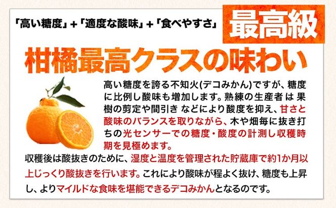 ご家庭用 デコみかん 約2.5kg 6～12玉前後《2026年2月上旬-4月末頃出荷》デコポン（不知火）と同品種 熊本県産 熊本県 長洲町 訳あり---ng_dkmkn_af24_r7_7000_2500g---
