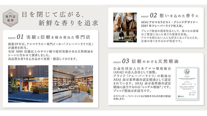 LINKA イオン フェイス スチーマー ＋ アロマオイル 2種セット 美顔器 美容 リンカ アロマ 癒し リラックス エステ ディフューザー [EV21-NT]