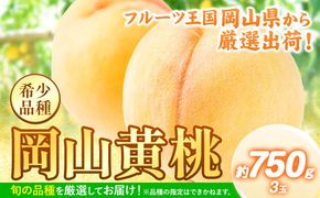 桃 【先行予約】 岡山県産 岡山黄桃 約750g《2025年8月下旬-9月下旬頃出荷》 黄桃 フルーツ 果物 先行予約 数量限定 岡山 矢掛町 桃 モモ もも 送料無料 黄金桃 お取り寄せ---ofn_cgp_p8_25_8000_750---