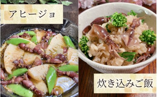 【先行予約】ほたるいか ボイル＆刺身皿盛りファミリーセット 【27年3月中旬以降順次発送】【生 ほたるいか ホタルイカ 小分け 便利 冷凍 大人気 おすすめ 国産 ホタルイカ 水揚げ いか イカ カネツル砂子商店 冷蔵 朝どれ おつまみ 旬 富山】