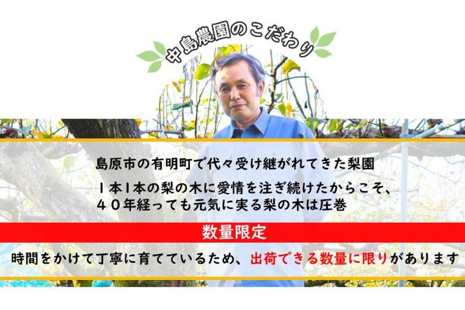 BH004 【令和9年度出荷分】【数量限定】 幸水梨 約2.5kg（5玉～8玉）[新鮮 農家直送 夏の味覚 フルーツ 贅沢宝庫 長崎県 島原市]