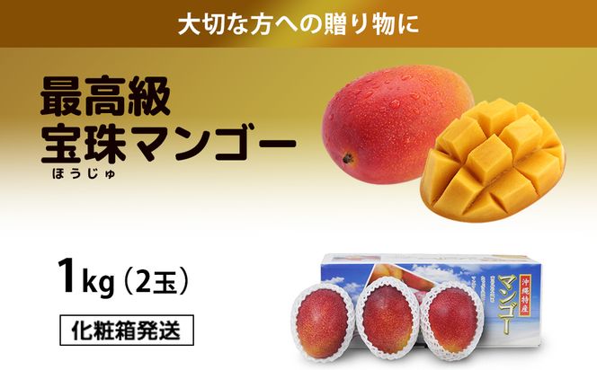 最高級マンゴー　宝珠１kg 【熱帯資源植物研究所】