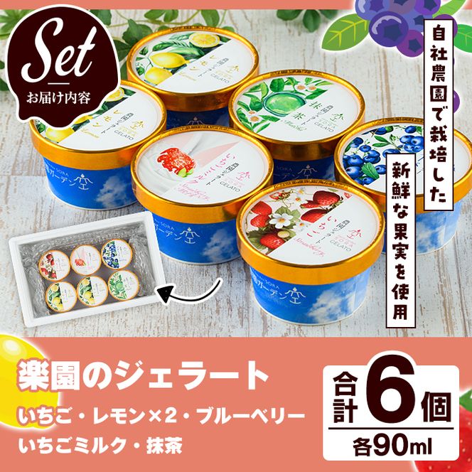 ＼テレビで紹介されました！／農園ガーデン空 楽園のジェラートセット(90ml×6個) ジェラート アイス いちご いちごミルク レモン ブルーベリー 抹茶 デザート スイーツ おやつ 夏 鹿児島 バラエティ バレンタイン ホワイトデー【農園ガーデン空】akn026-12