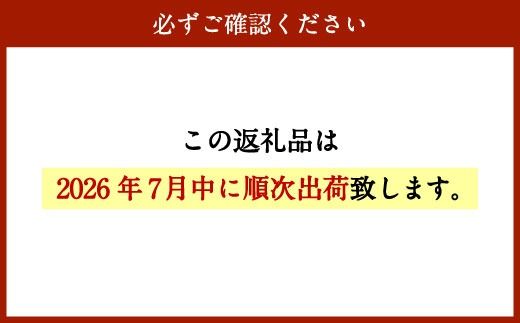【先行予約】＜宮崎県産ライチ600g＞2026年7月中に順次出荷【c644_mk_x6】