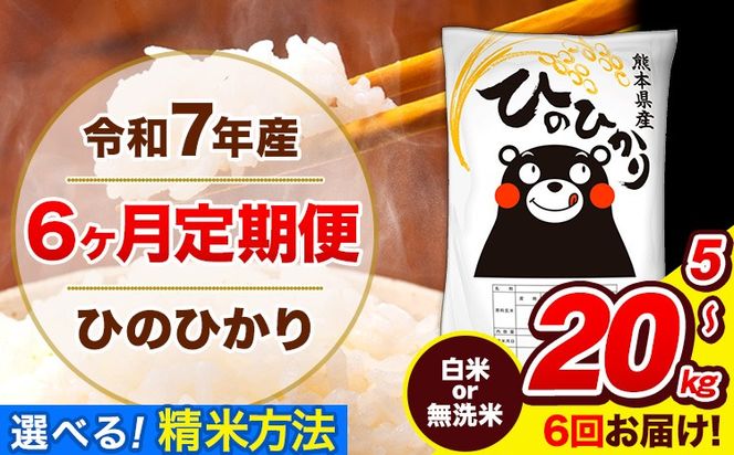 令和7年産 ひのひかり 【6ヶ月定期便】 選べる精米方法 白米 or 無洗米 5kg 10kg 20kg 計6回お届け 《お申込み翌月から出荷》 熊本県産 白米 無洗米 精米 ひの 米 こめ お米 熊本県 長洲町---hn7tei_63000_5kg_mo6_ng_h---