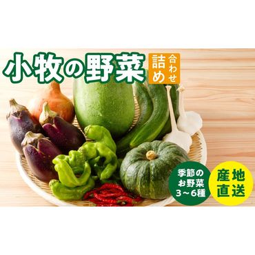 ネオコスモ農園で採れた小牧の野菜詰め合わせ［124N01］