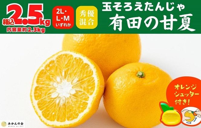 甘夏 玉ぞろい 箱込 2.5kg ( 内容量約 2.3kg ) 秀品 優品 混合 2L  L M サイズのいずれか 和歌山県 産地直送 ［皮むき器付き］ ［みかんの会］ AX256