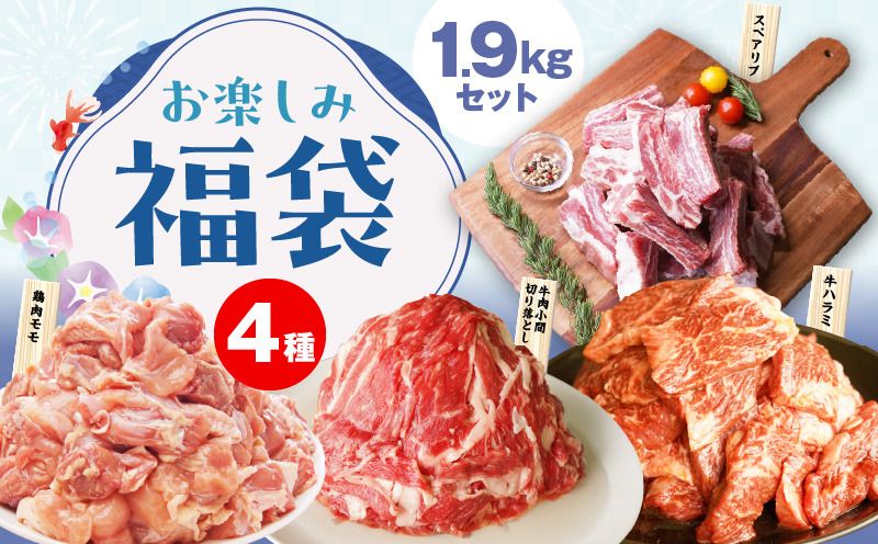 mrz0154 [夏の肉福袋]4種 1.9kg 焼肉セット(牛肉 切り落とし/牛ハラミ/豚肉 スペアリブ/鶏肉)[氷温熟成×極味付け 焼くだけ 食べ比べ ふくぶくろ お楽しみ 簡単調理]
