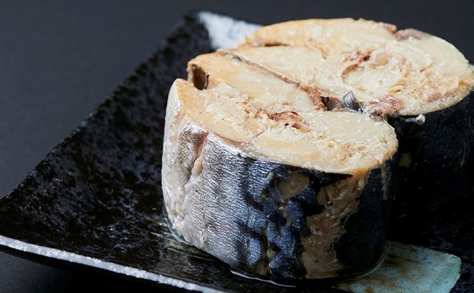【3ヶ月連続お届け】若狭の鯖缶24缶セット（水煮） 加工食品 魚の加工品 鯖の缶詰 水煮缶 鯖の水煮 鯖の水煮缶 つまみ 調理 食材 魚の缶詰 お魚 食品 ストック 塩味 ノルウェー産 ノルウェー産鯖 DHA 便利 手軽 酒のあて 