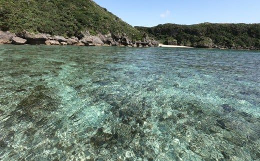 パワースポット果報バンタ＆秘密のビーチ上陸SUPツアー！【1名様】