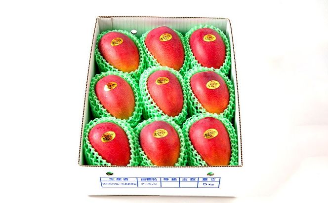 【2026年発送】最高級　常夏アップルマンゴー！糖度17度以上　約5kg以上農園から直送 最高級 先行予約 沖縄 甘味 糖度 濃厚 美味しい お土産 おいしい ギフト とろける甘さ 香り アーウィン 果汁 ５キロ 箱入り お取り寄せ 見た目 きれい 綺麗