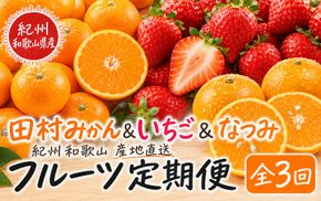【全3回】紀州和歌山産旬のフルーツ定期便 (田村みかん・いちご・なつみ) 【tkb374】