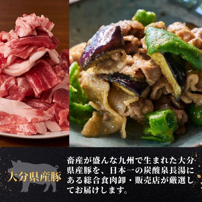 【豚肉／豚肉スピード発送】豚肉切り落とし 2kg（500g×4袋） | 豚肉 豚肉小分 豚肉切落 豚肉カレー 豚肉炒 豚肉炒飯 豚肉料理 ぶたにく ブタニク 小分け 使いやすい 豚 切り落し 豊後高田市