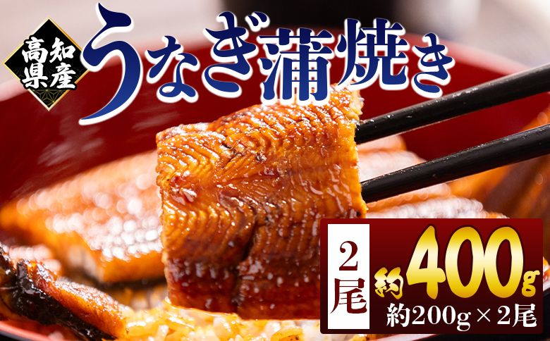 うなぎ 蒲焼き 約200g×2尾 (高知県産鰻) 鰻 フジ物産 国産 養殖 fb-0139