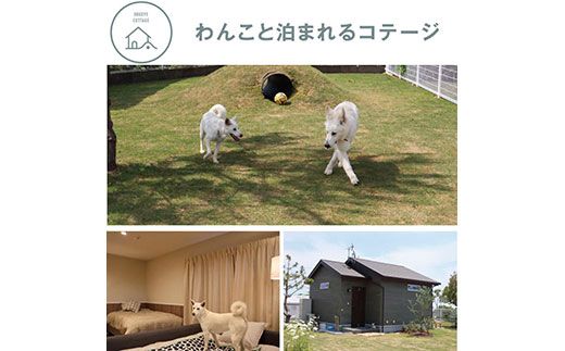 【CF-R7hbk】ONW003　ONIWAご利用券3,000円×3枚 ＜ゆったり空間で贅沢キャンプ わんこと泊まれるコテージ＞