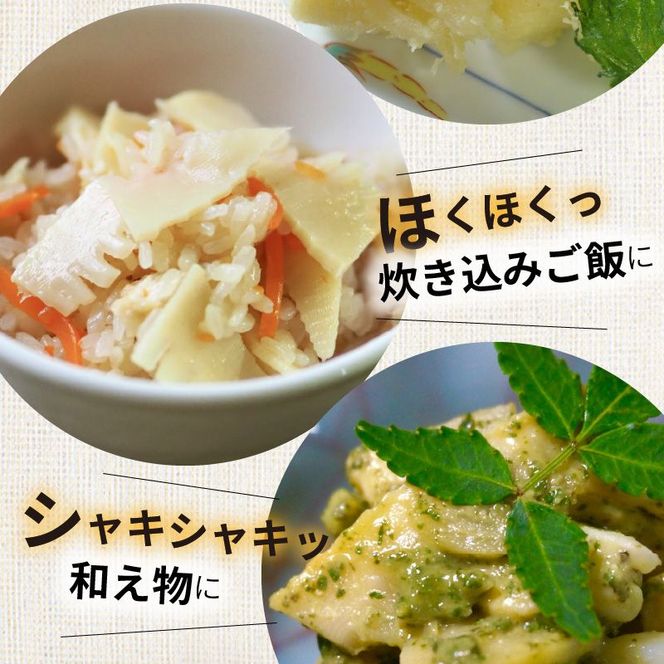 たけのこ水煮2kg N067-YA766