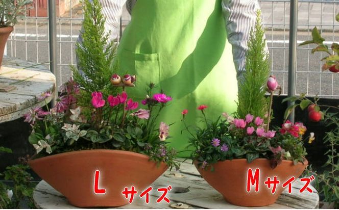 植木 寄植え 可愛いお花畑の寄せ植え L・Mサイズ 2個セット 配送不可 北海道 沖縄 離島 植物 